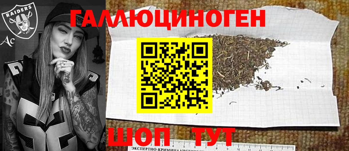 Псилоцибиновые грибы Psilocybine cubensis Кисловодск