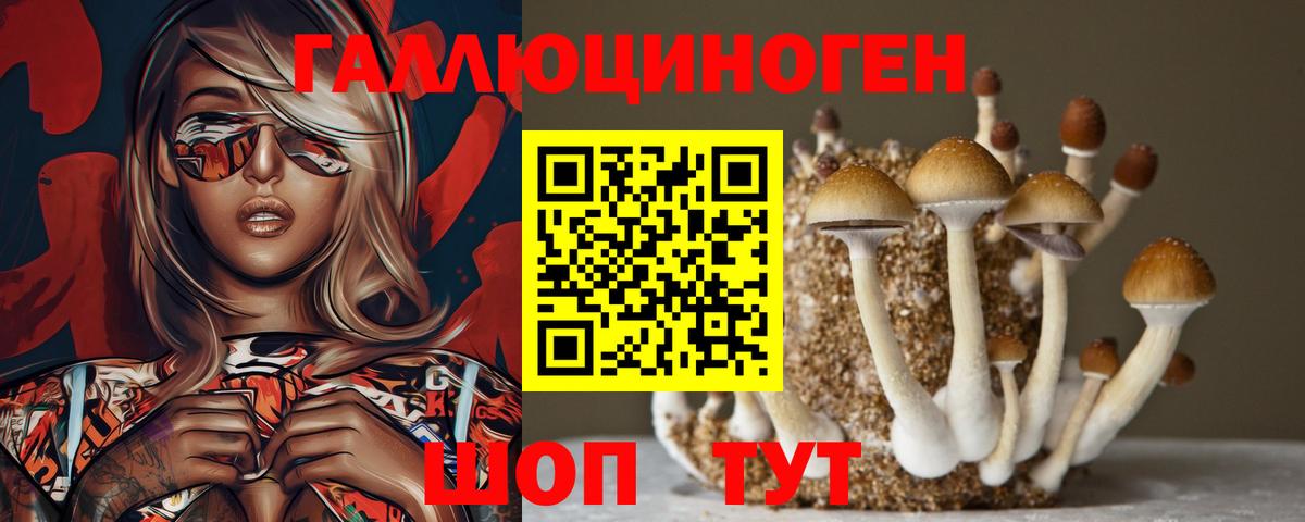 Галлюциногенные грибы мухоморы  Вход с VPN  Кисловодск 